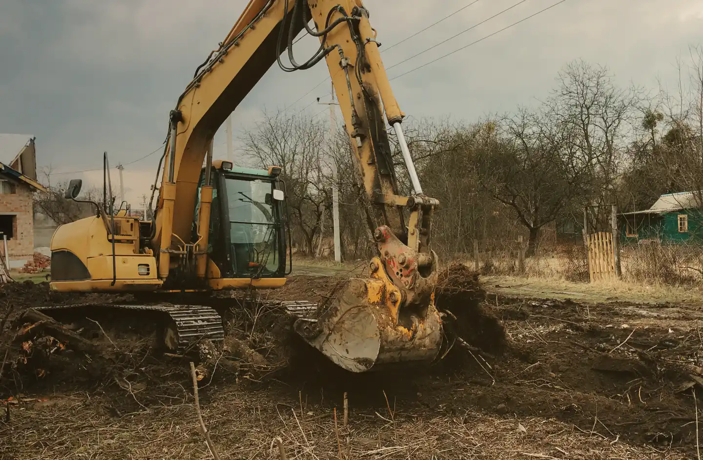 excavator land clearing backyard verbena al